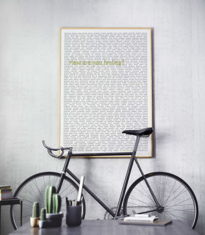 Emotionscanner International Poster A1 Fahrrad